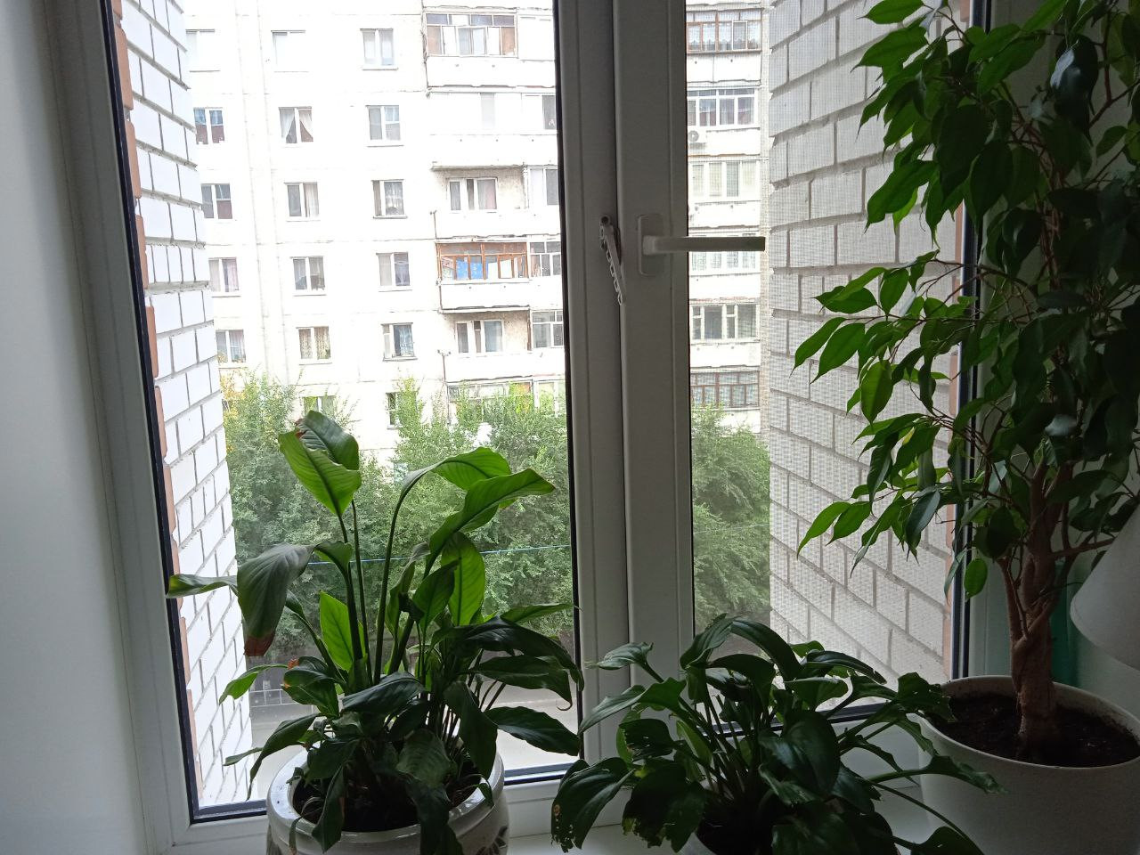 https://neftekamsk.delaem-okna.ru/storage/app/uploads/public/63f/332/8c0/63f3328c0d6f7867060515.jpg